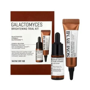 Some By Mi Galactomyces Brightening Trial Kit